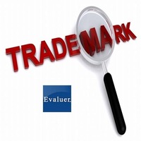 Evaluer - Trademark Registration in Chandigarh