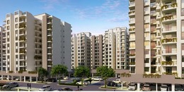 Sushma Affordable 2/3 BHK Joynest Apartments Mohali - Mohali